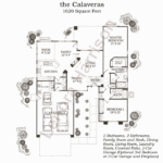 The Calaveras